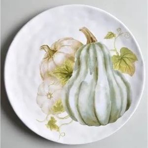 Pier 1 Fall Plate Set NWT